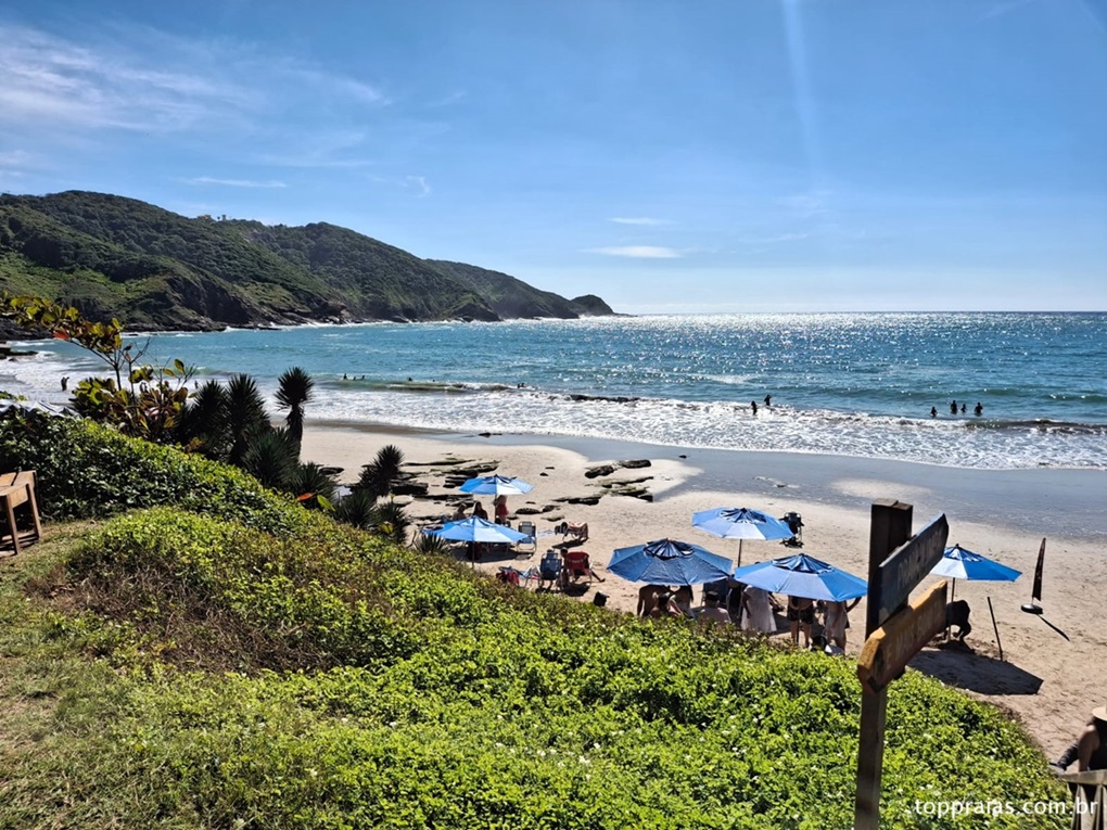 Praia Brava em Búzios com natureza exuberante